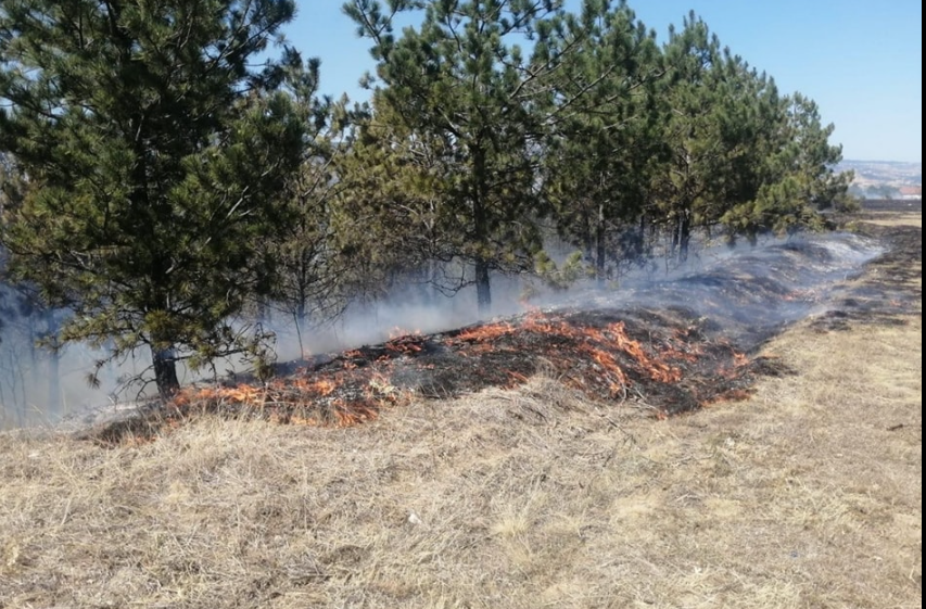Taşköprü yolu Hatip köyünde tarlada çıkan anız yangını, ormanlık alana