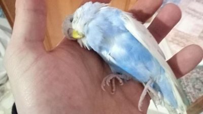 Kuzeykent Mahallesi’nde yaşanan su kesintisi nedeniyle ısınma problemi yaşadığını belirten