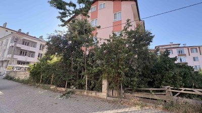 Kastamonu’nun Tosya ilçesinde ıhlamur toplamak için çıktığı ağaçtan düşen emekli