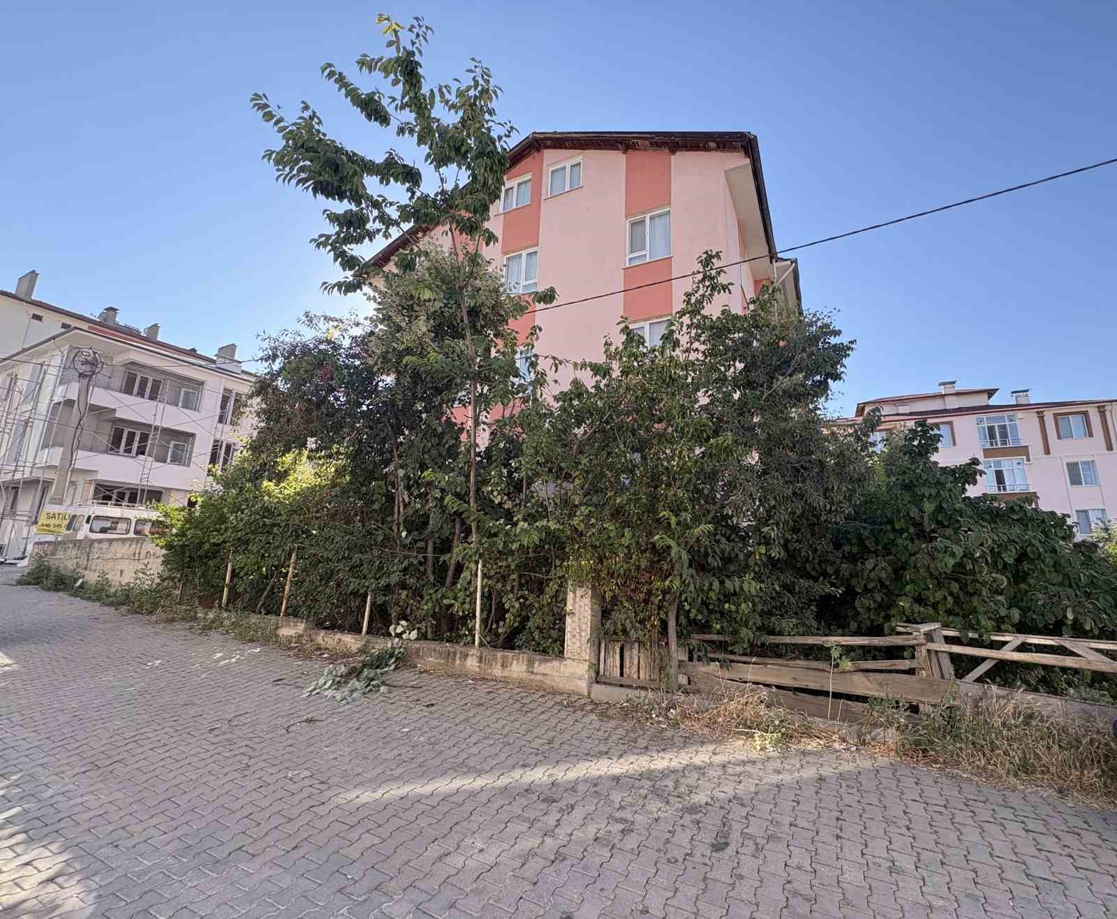 Kastamonu’nun Tosya ilçesinde ıhlamur toplamak için çıktığı ağaçtan düşen emekli