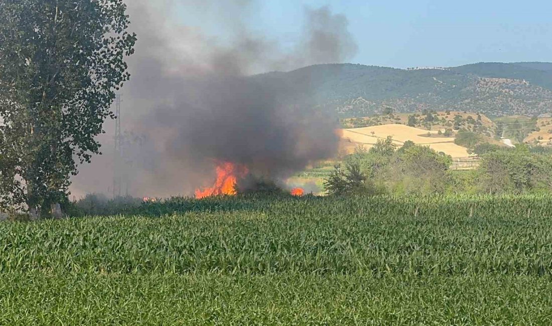 Kastamonu’nun Taşköprü ilçesinde buğday ekili tarlada çıkan yangında, çiftçinin bir