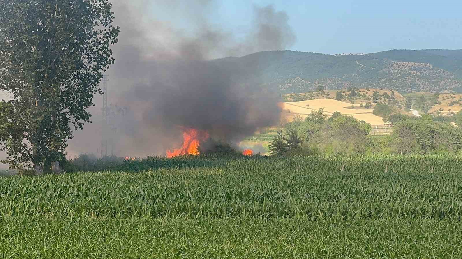 Kastamonu’nun Taşköprü ilçesinde buğday ekili tarlada çıkan yangında, çiftçinin bir
