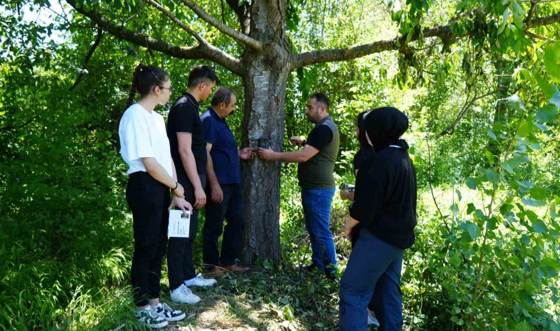 Kastamonu’da il merkezine yaklaşık 5 kilometre uzaklıkta bulunan köye kadar