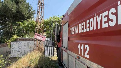 Kastamonu’nun Tosya ilçesinde kafe, restoran ve aile çay bahçesi olarak