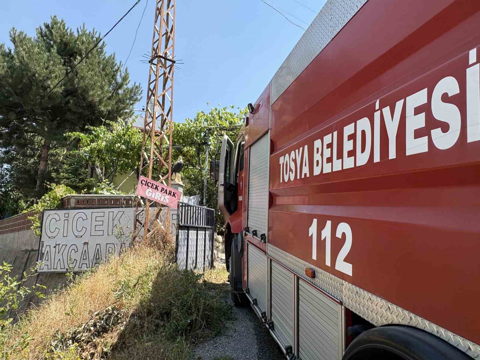Kastamonu’nun Tosya ilçesinde kafe, restoran ve aile çay bahçesi olarak