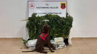 Kastamonu İl Jandarma Komutanlığı ekipleri, 29 Haziran-6 Temmuz 2026 tarihleri