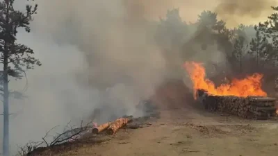 Bolu’nun Göynük ilçesine bağlı Aksaklar köyü yakınlarındaki ormanlık alanda yangın