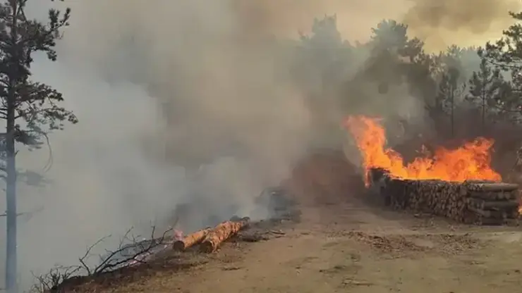 Bolu’nun Göynük ilçesine bağlı Aksaklar köyü yakınlarındaki ormanlık alanda yangın