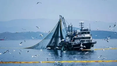 Kastamonu’da balıkçılık faaliyetleri açısından büyük önem taşıyan 2026–2027 su ürünleri