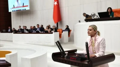 Türkiye Büyük Millet Meclisi (TBMM) Suça Sürüklenen Çocuklara İlişkin Araştırma