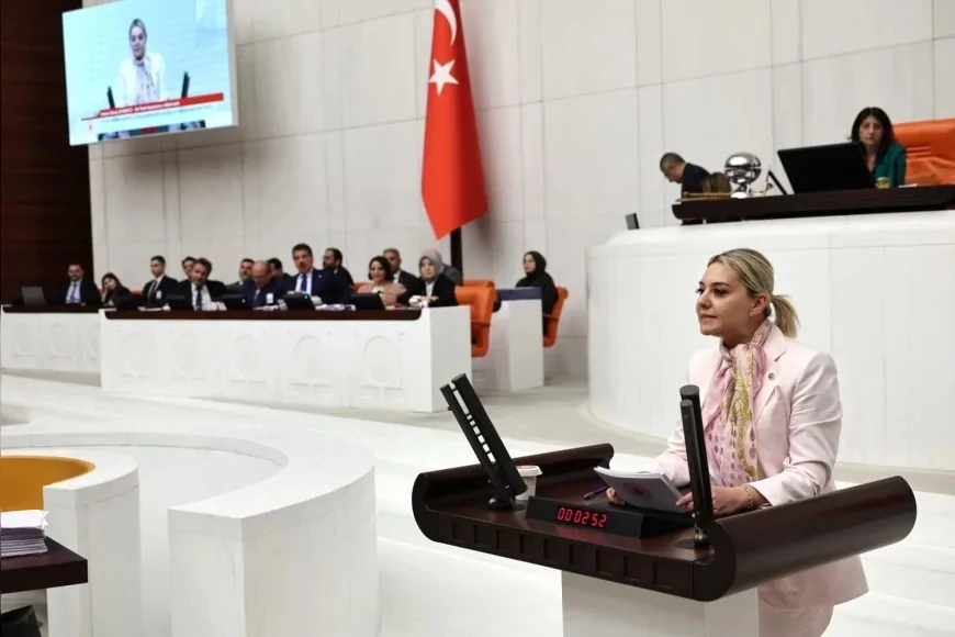 Türkiye Büyük Millet Meclisi (TBMM) Suça Sürüklenen Çocuklara İlişkin Araştırma