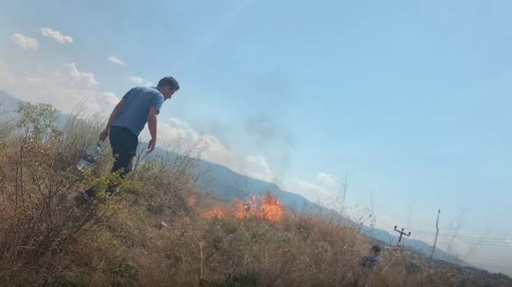Kastamonu'nun Tosya İlçesinde çıkan ot yangını kısa süreli paniğe neden