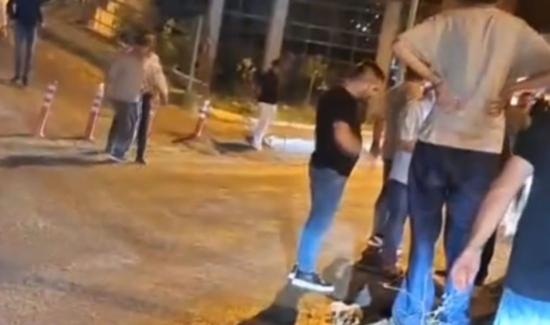 Sinop’ta yolun karşısına geçmeye çalıştığı sırada otomobilin çarptığı yaşlı kadın