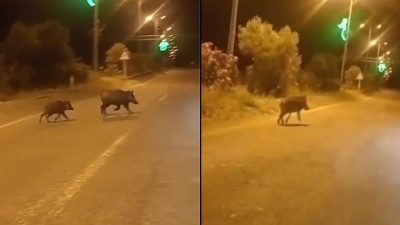 Kastamonu’nun sahil ilçelerinden Çatalzeytin’de gece yarısı alışılmadık görüntüler kayda alındı.