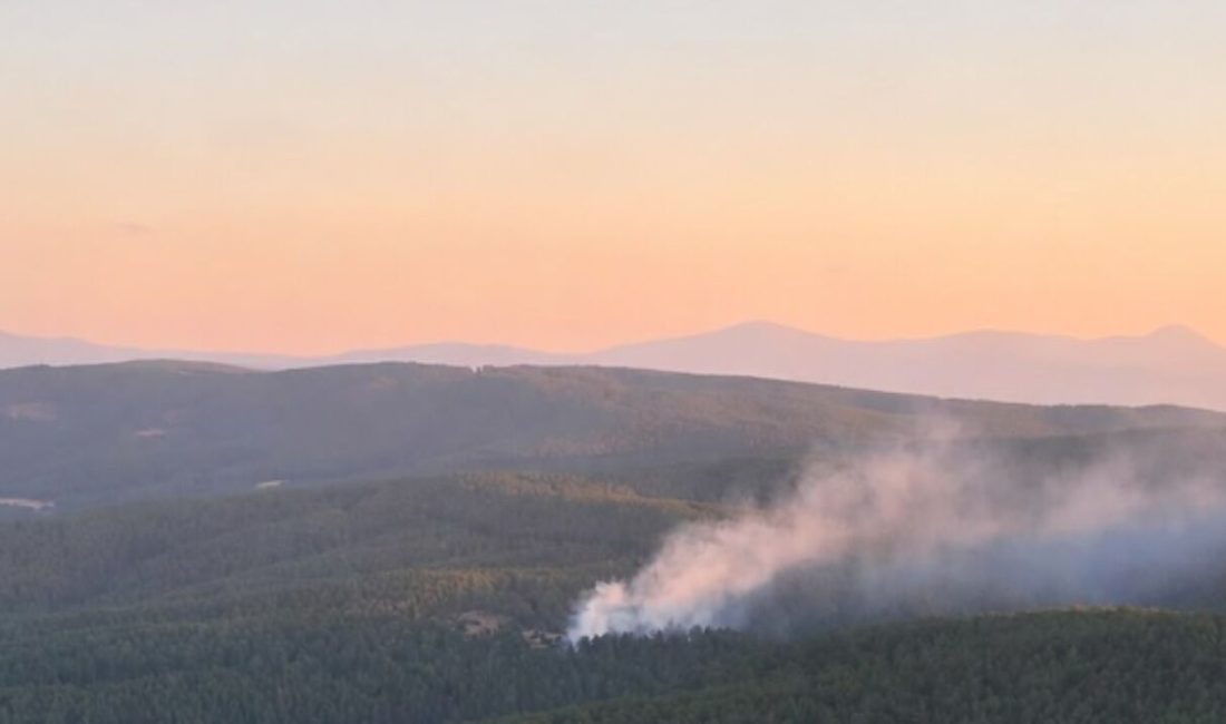 Kastamonu’nun Esenler köyü mevkiinde çıkan orman yangınından sevindiren haber geldi.