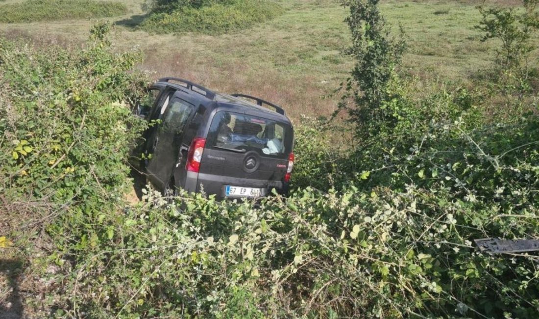 Zonguldak’ın Çaycuma ilçesinde sürücüsünün kontrolünü kaybettiği panelvan araç yoldan çıkarak