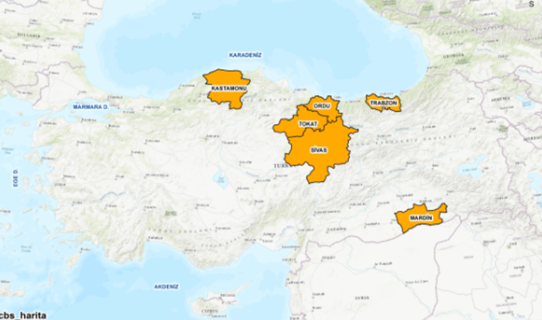 Büyükşehirlerdeki dernekleşme oranları, hemşehri dayanışması ve memleketlerine duydukları bağlılıkla öne