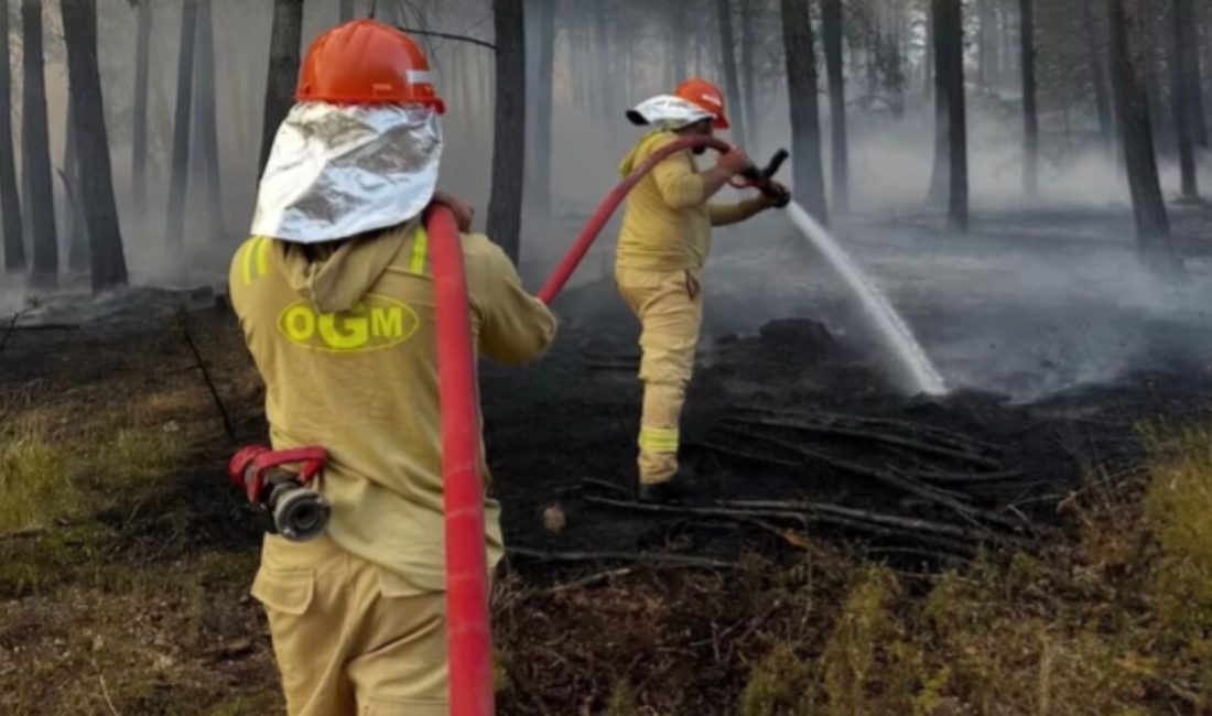 Kastamonu’nun Taşköprü ilçesine bağlı İmamoğlu köyü Boztepe Mahallesi’nde çıkan orman