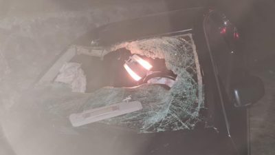 Zonguldak’ın Çaycuma ilçesinde yola çıkan ineğin neden olduğu trafik kazasında