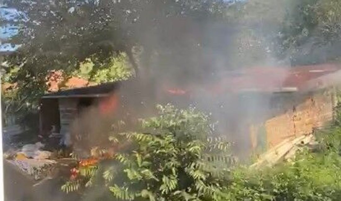 Kastamonu’nun Cide ilçesinde tarlada başlayan örtü yangınının sıçradığı ahır kullanılamaz