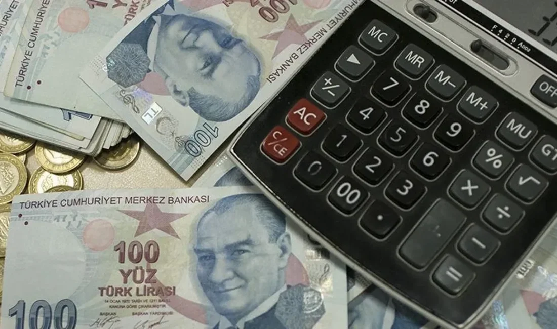 Emeklilere yönelik gelire göre şekillenecek alternatif destek seçenekleri üzerinde çalışılacak.