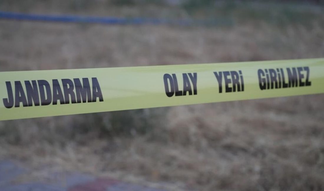 Ordu’nun Ünye ilçesinde patpat olarak bilinen tarım aracının devrilmesi sonucu