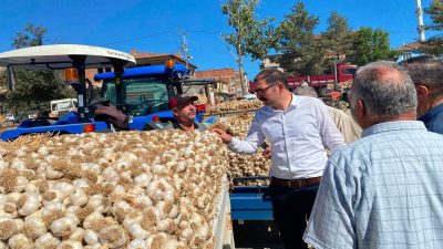 Kastamonu’nun Taşköprü İlçe Kaymakamı Abdullah Demirdağ, Alatarla Köyünde sarımsak ve