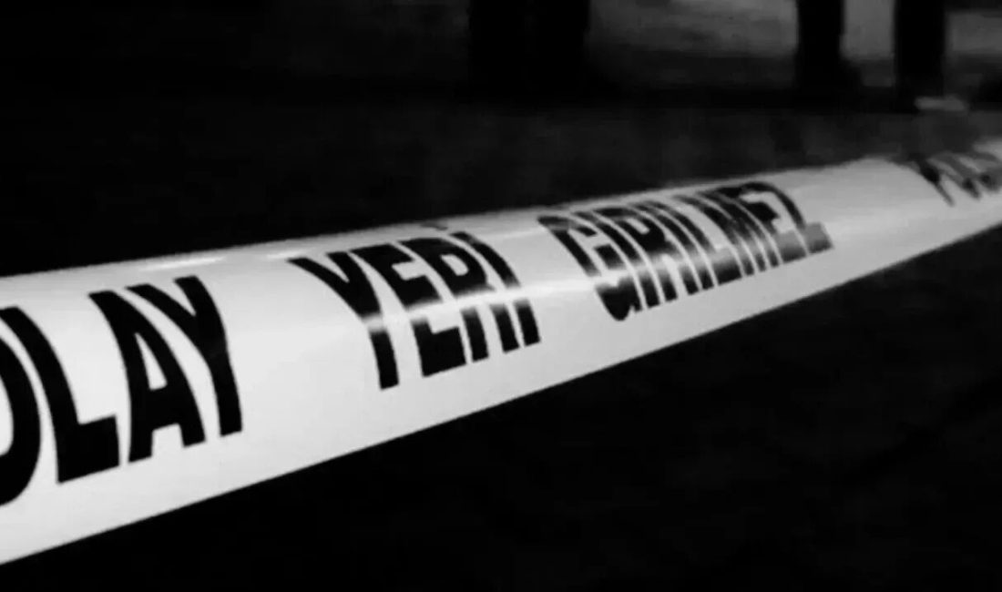 Kastamonu’nun Araç ilçesi Uğurlu Yaylası’nda orman kesimi sırasında üzerine ağaç